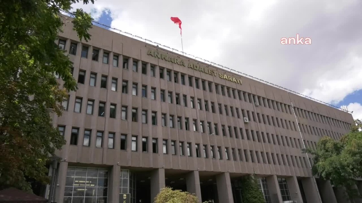  Çıkar amaçlı suç örgütü